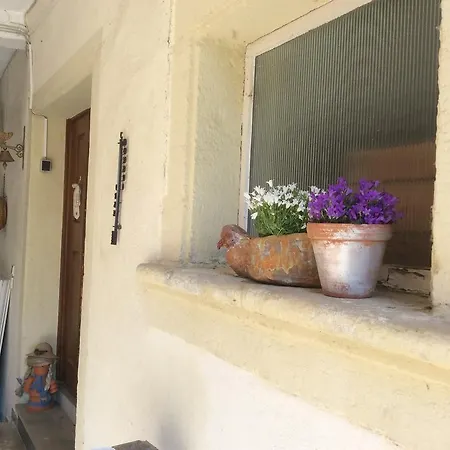 Haus شقة